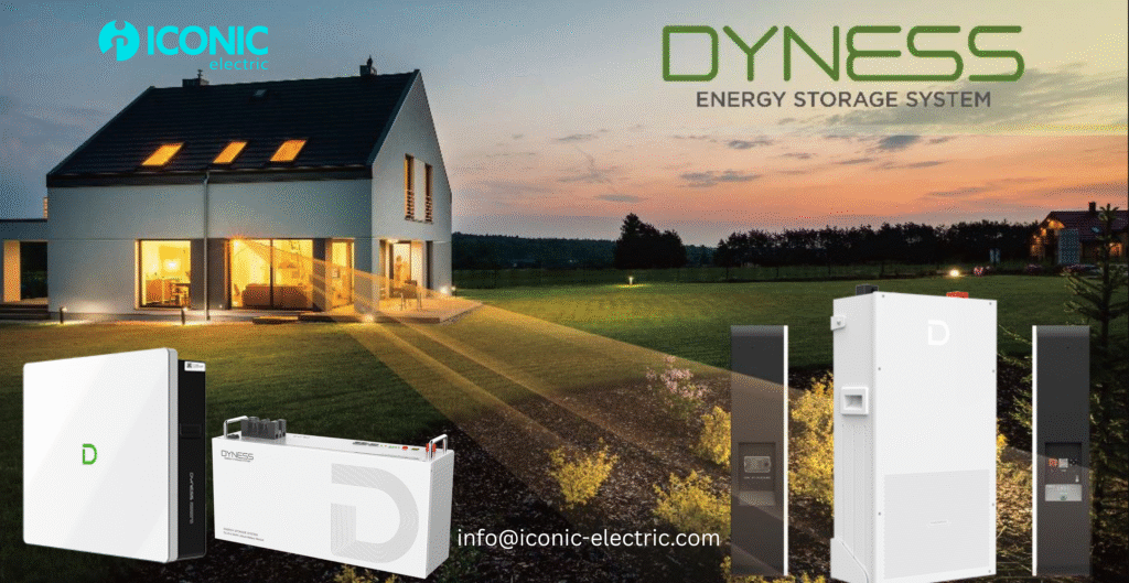 dyness banner